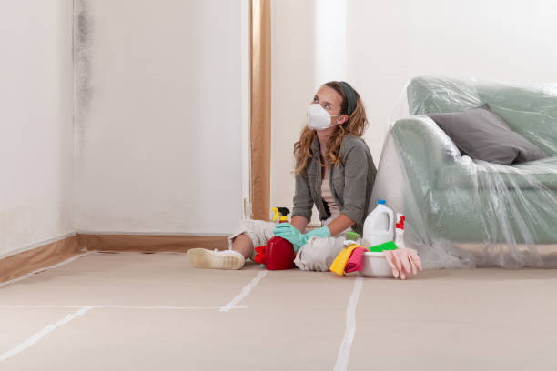 Reliable Mold Remediation contractor in Fulton, TX by Cheap Mold Removal